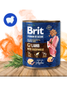 Brit Premium by Nature Lamb & Buckwheat 800g Jagnięcina z Gryką